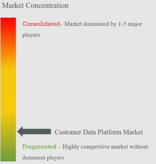 Customer Data Platform Market Concentration